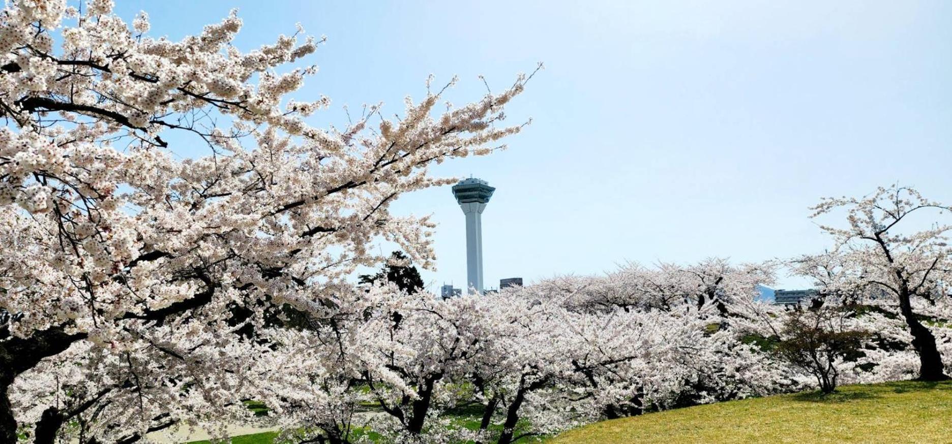 Yunohama Hotel Hakodate Exterior foto